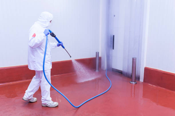 Best Roof Cleaning and Mildew Removal in Dresser, WI
